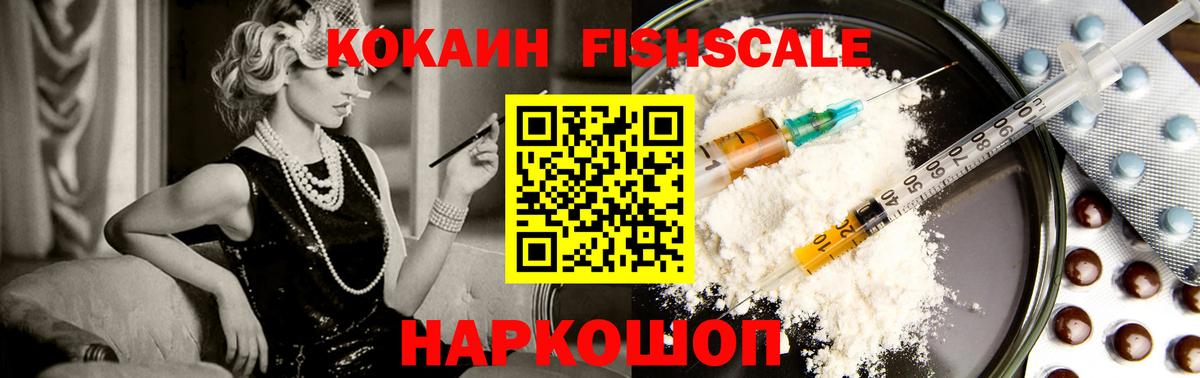 Cocaine FishScale Камышлов