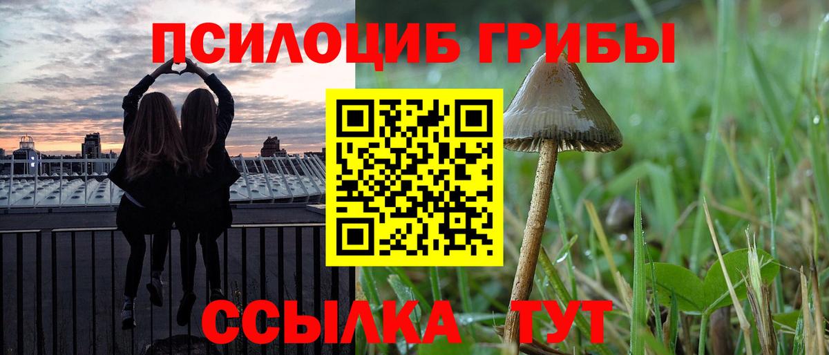 Камышлов  купить закладку  Вход с VPN  Псилоцибиновые грибы Psilocybine cubensis 