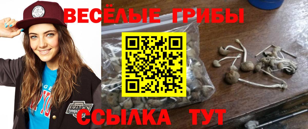 Меф кристаллы  Амфетамин кристаллы  MDMA  COCAIN  Камышлов  Гашиш  Марихуана  Вход с VPN 