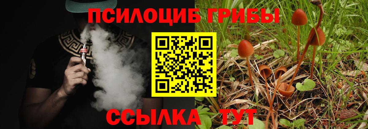 Галлюциногенные грибы MAGIC MUSHROOMS Камышлов
